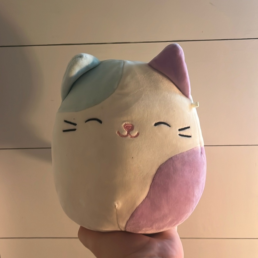 Cat squish mellow